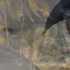 BROWARD (fast)