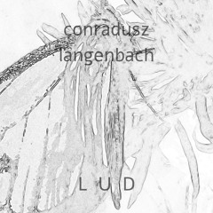 2. LUD_CONRAD_ ULI