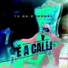 Tz da Coronel É a calli