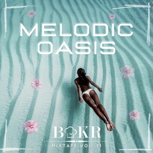 Melodic Oasis Vol. 11