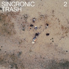 Sincronic Trash II @ PSIHODROM FESTIVAL (eurorack, guitar, theremin and accordion performance)