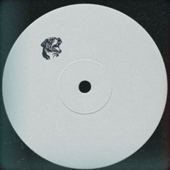 Tana9.13 - Big Dog Shyt (SNDRS/REMIX)