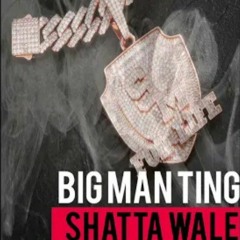 Shatta Wale - Big Man Ting (Audio Slide)