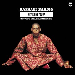 Raphael Saadiq "Never Give You Up" (Spivey's Early Summer Vibe)