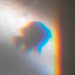 The Cog is Dead - Bang