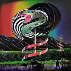 SORDID SOUND SYSTEM - AMATEUR EXOTIC'S SLIDE DOWN THE SNAKE