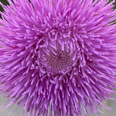 set progressive house octubre25