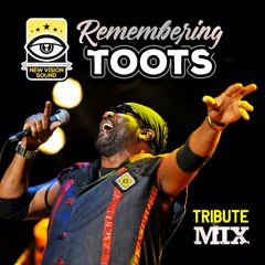 New Vision Sound - Remembering Toots Tribute Mix