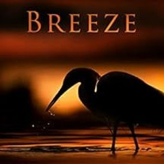 DOWNLOAD EPUB 📍 Captiva Breeze: A Bluewater Breeze Novel (Meade Breeze Adventure Ser