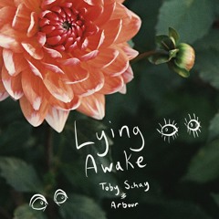 Toby Schay & Arbour - Lying Awake