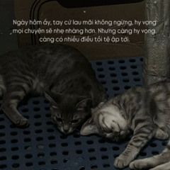 Câu trả lời duy nhất - Haozi x Louis x MM (FREE DOWLOAD)