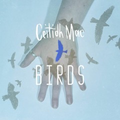 Ceitidh Mac - Birds