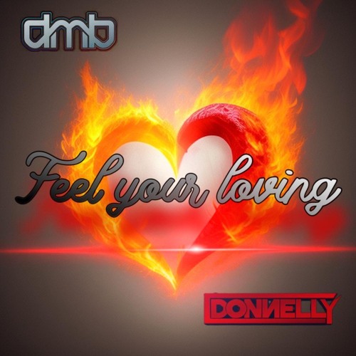 DMB & DONNELLY - Feel Your Loving