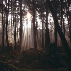Early Morning