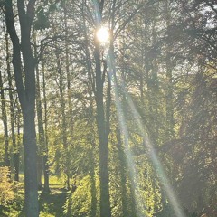 I skovens dybe stille ro.m4a