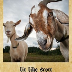 LitLike Scott (feat. Fred the First)