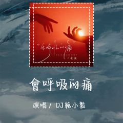 DJ范小松 - 会呼吸的痛 「想念是会呼吸的痛」【動態歌詞/pīn yīn gē cí】 #DJ范小松 #会呼吸的痛 #動態歌詞 #LyricsVideo