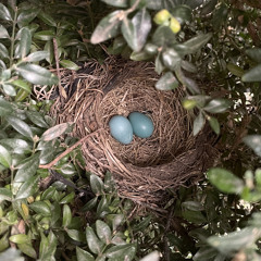 {{{{UPDATED}}}} Sample (Silver Soul - Beach House)