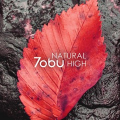 Tobu - Natural High