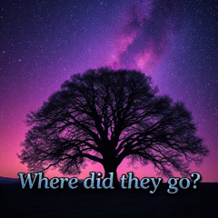 Where did they go
