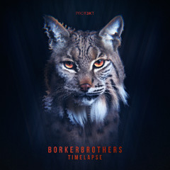 BorkerBrothers-Timelapse (PROT3KT028)