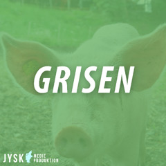 Grisen 2025 - E50: Highlights fra Bovbjerg og refleksioner fra "Hvem passer på grisene"