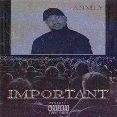 ANMLY - Important (Prod. BeatsByLouis) Wav Master