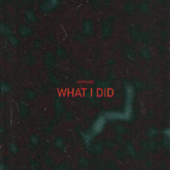 Jayecluee - What I DID