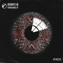 Ronnye M - Panoramic (Original Mix)