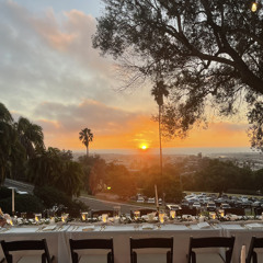 Grapévine - CB85 & Clon Tonio