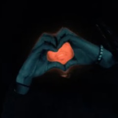 suicide doors / rip x