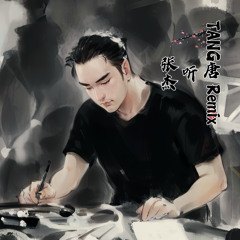 张杰 - 听 （TANG Remix 2023）