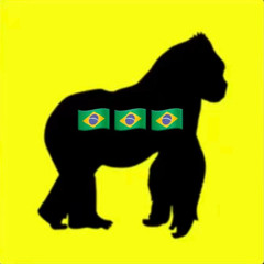 malibU Baile Funk BR (BRUZZY Edit) 137 BPM FILTERED ultra + FREE DOWNLOAD