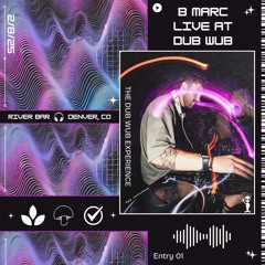 The Dub Wub Experience - Entry 01