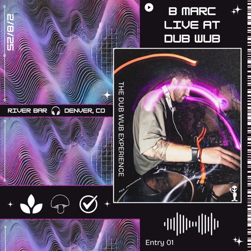 The Dub Wub Experience - Entry 01