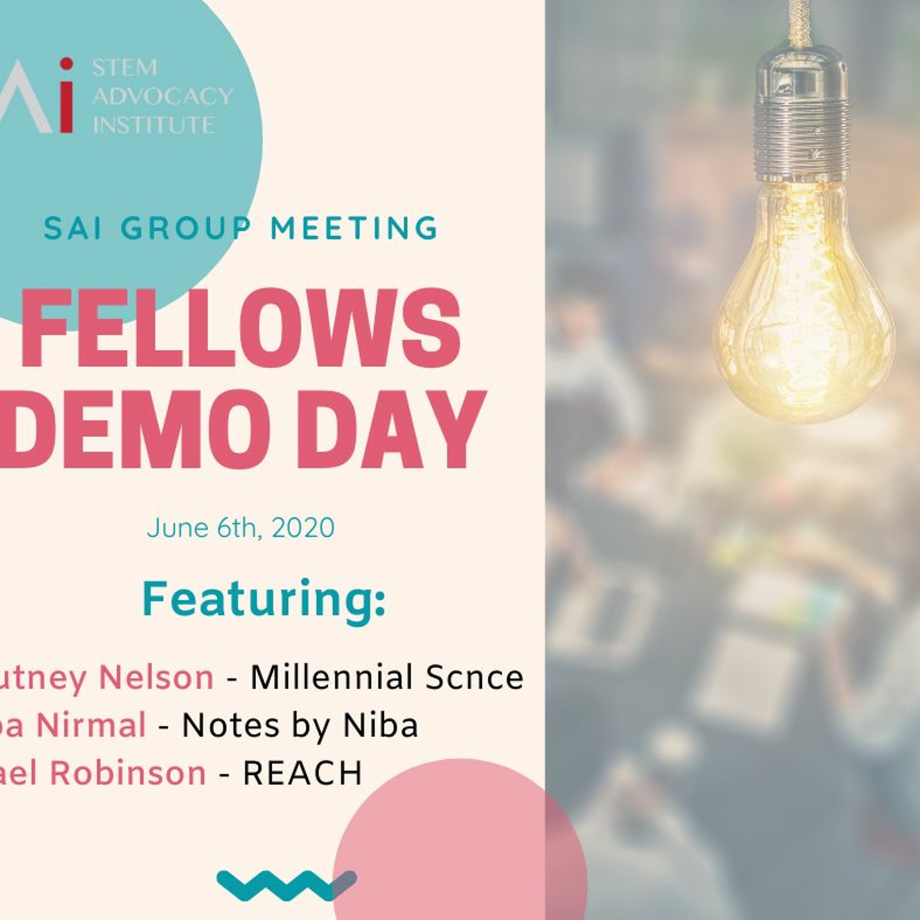 3. SAi Monthly Meeting - Fellows Demo Day (06.06.20)