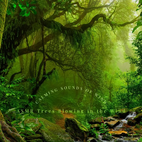 Relaxing Wind Sounds