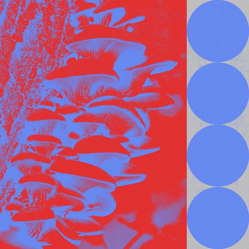 Budakid - Ringo Bingo (Benjamin Fröhlich Remix) I Exploited