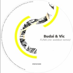 Budai & Vic - Funk (webber remix)