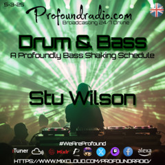 #290 DnB Monthly Special Profound Radio @djstuwilson