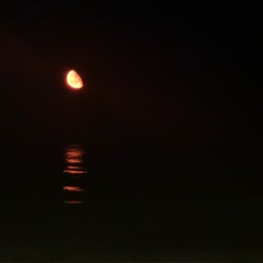 Set for LMNT exhibition @ XBMSTUDIO