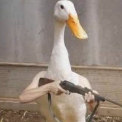 DUCK SONG x LOSE YOURSELF x RAM RANCH x MINECRAFT x PINK FLOYD