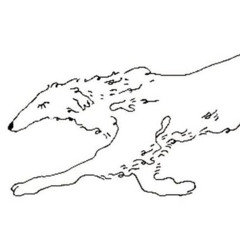 blind spot* - perto (extended)