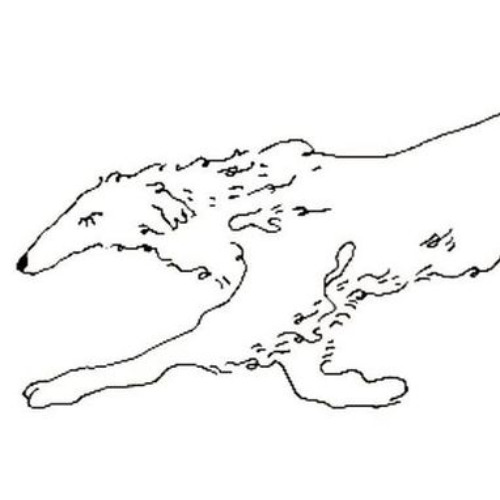 blind spot* - perto (extended)