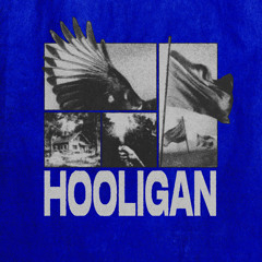 Hooligan