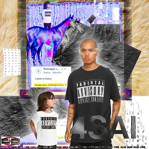 Cavallo Nero 2 /// Houdini (Prod. 4Sai)