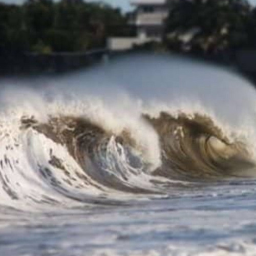 T A _ F E T E _4 PAIN TUNA _ 2 O 2 O