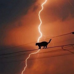 Zero Ultra Type Beat