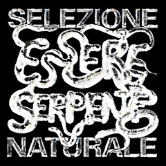Selezione Naturale - Tondak