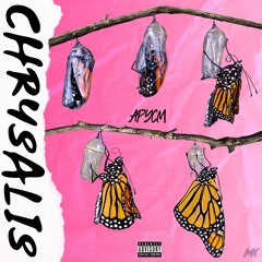 Chrysalis